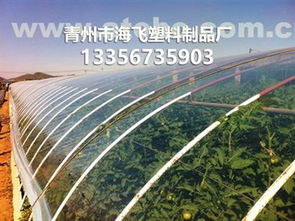 青州市海飞塑料制品厂 园艺用具供应商的热卖促销与产品种植方案